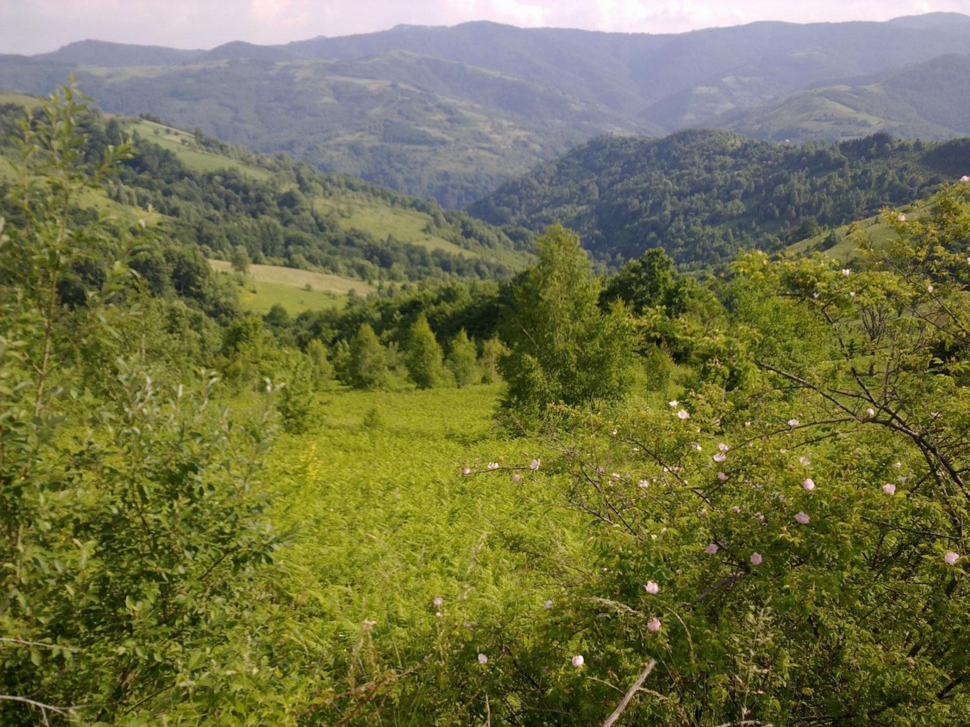 Hotel Javor Kusici Luaran gambar